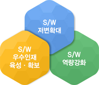 S/W 저변확대, S/W 우수인재 육성, 확보, S/W 역량강화